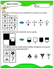 Zeka Gelişim Testleri